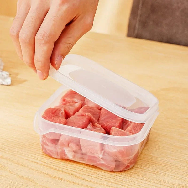 Frozen Meat Container, Kitchen Refrigerator Food Storage Container, Meat Preservation Box